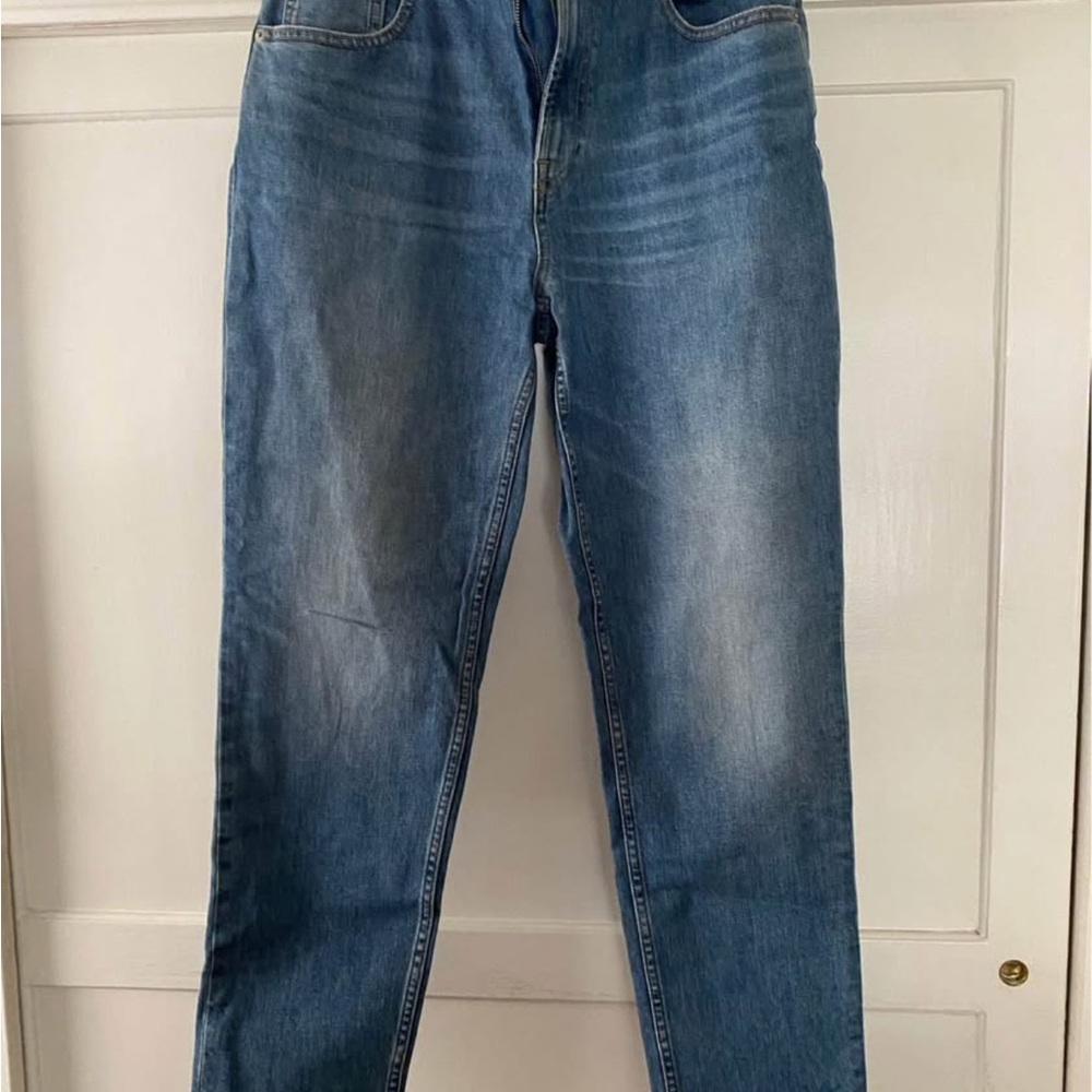 Everlane Blue Straight Jeans Relaxed Fit